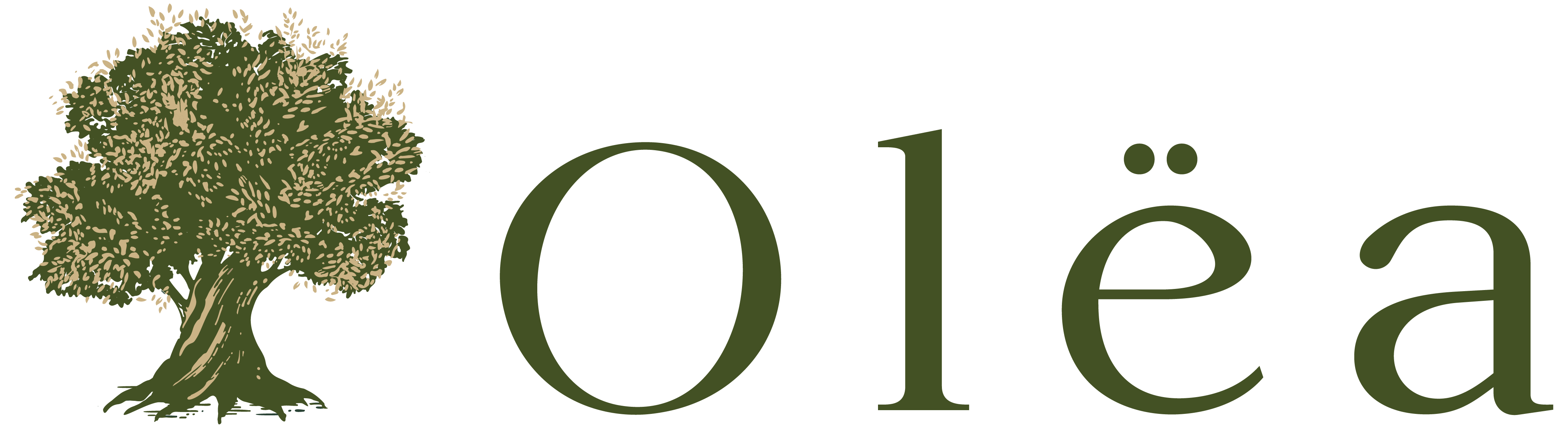 Olëa · Torreón